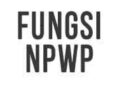 8 Fungsi NPWP dan Manfaatnya 6 Cara Mengatasi ETAX 40003 dan ETax 20017