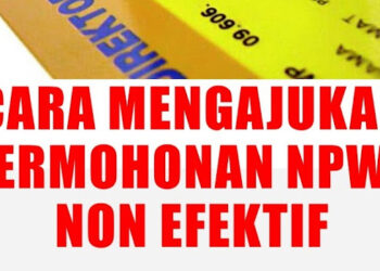 Cara Membuat NPWP Online, Mudah dan Cepat