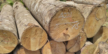 Cara Membuat NPWP Online, Mudah dan Cepat