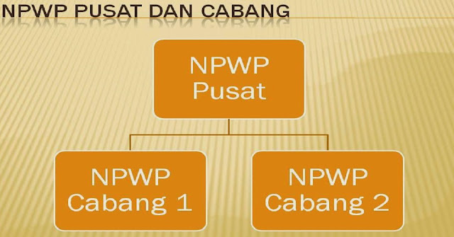 Cara Mengisi Status Pusat - Cabang NPWP